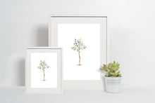 Load image into Gallery viewer, Olive Tree Print - A Simple And Beautiful Reminder To Pray For Your Son - Prints - Marriage After God