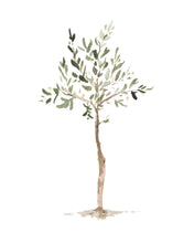 Load image into Gallery viewer, Olive Tree Print - A Simple And Beautiful Reminder To Pray For Your Son - Prints - Marriage After God